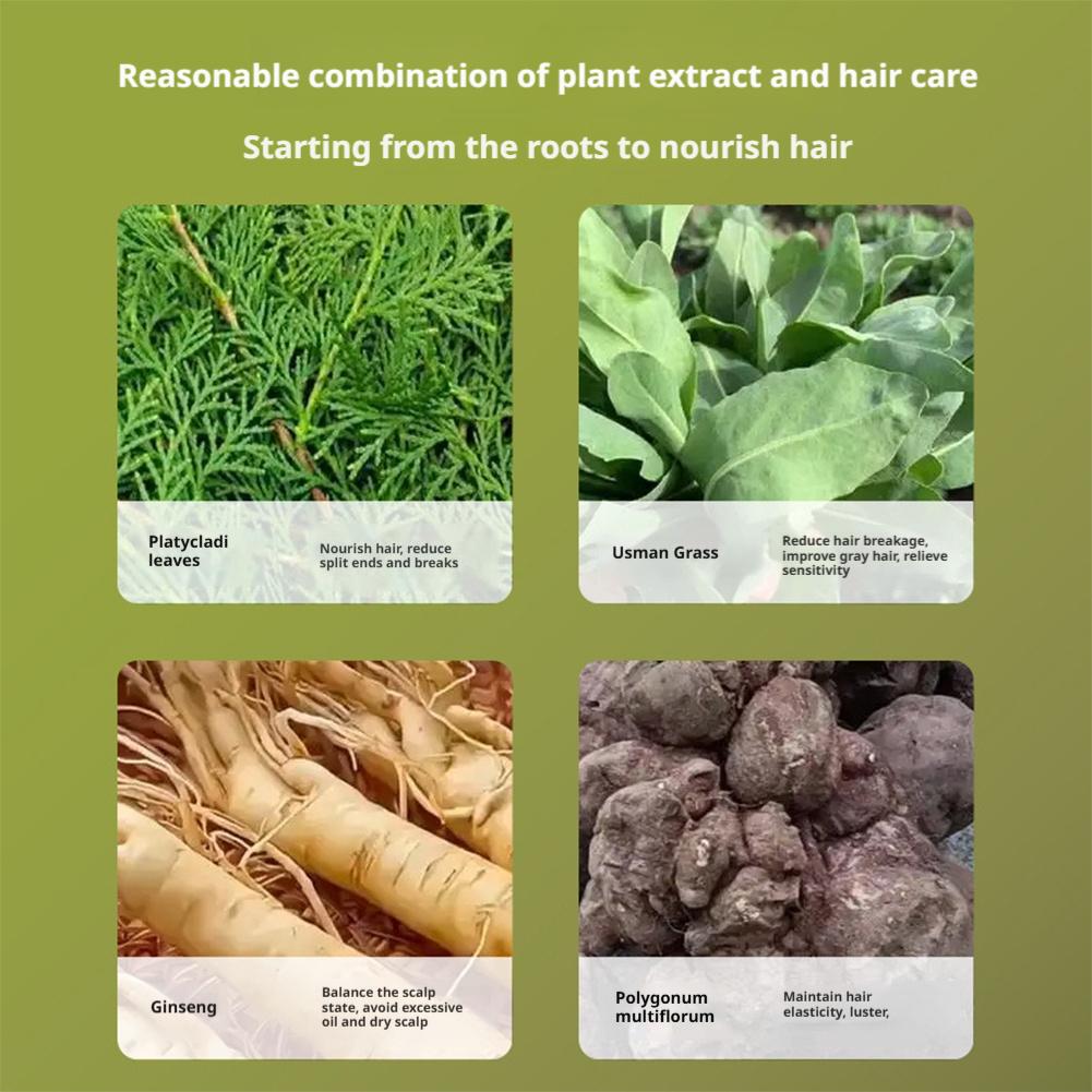 Nature Herbal Green Shampoo So - đánh giá và giá Hair Care Herbal
